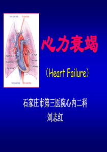 心力衰竭护理课件.刘志红  ppt