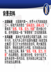 标志汽车策划方案