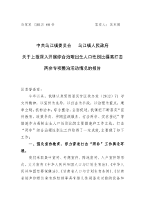 打击两非专项整治活动实施方案