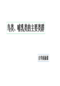 脊椎动物的主要类群--鸟类、哺乳动物
