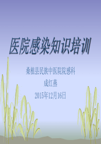 院感知识培训 幻灯片