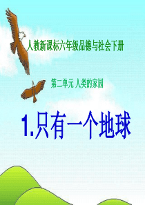 人教新课标品德与社会六年级下册《只有一个地球》课件