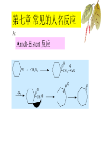 常见的人名反应 PPT