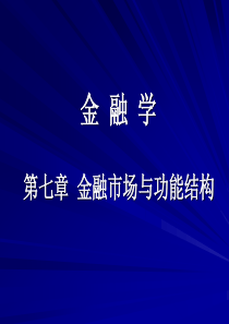 中央财经大学金融学(孙建华)7章金融市场讲述