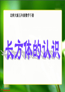 北师大版数学五年级下册《长方体的认识》PPT课件之一1