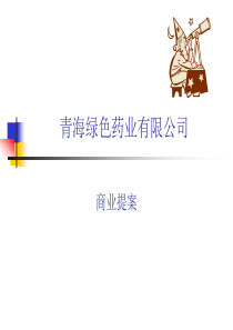 XXXX药业有限公司商业提案