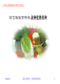 优势育种2009