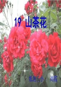 《山茶花》PPT