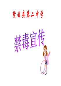 主题班会《禁毒宣传》PPT课件