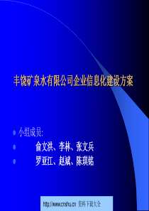 丰饶矿泉水公司企业信息化建设方案