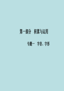 中考语文专题――字音字形