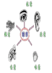 69运用多种感官描写