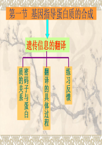 人教版教学课件第一节基因指导蛋白质的合成之翻译的过程1