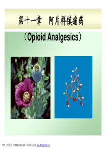 X年第11章阿片样镇痛药sxj[兼容模式]