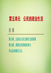 【高考复习方案】(新课标)2016届高考政治一轮复习 第五单元 公民的政治生活课件 新人教版