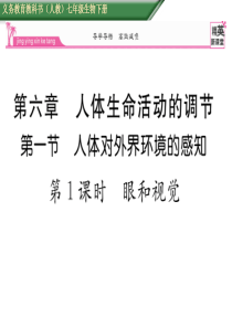 教版生物下册课件第六章 人体生命活动调节 第一节   人体对外界环境的感知     第1课时   眼