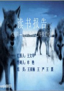 《狼阵》读书报告