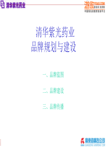 ××药业品牌规划与建设(PPT41)(2)