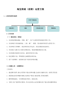 淘宝商城运营方案