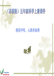 苏教版小学科学五年级上册《测量呼吸、心跳和脉搏》课件