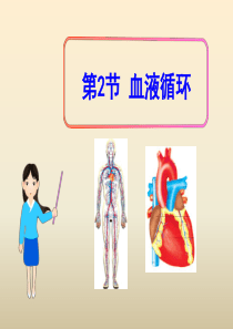 《血液循环》PPT