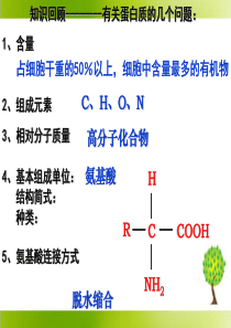 《血红蛋白的提取和分离》课件