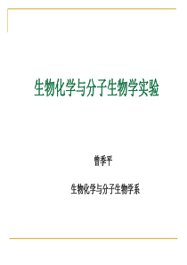 分光光度法检测蛋白质含量