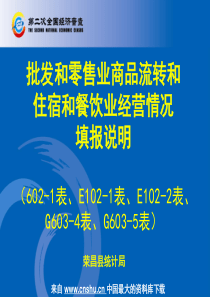 批发和零售业商品流转和住宿和餐饮业经营情况填报说明(PPT 39页)(1)