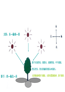 五年级上科学光是怎样传播的.ppt