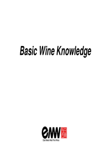 BasicWineKnowledge葡萄酒基础知识