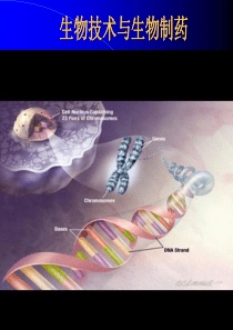 《生物技术与生物制药》课件