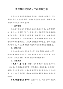 青年教师成长成才工程实施方案