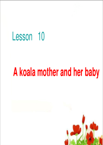 科普版小学六年级英语(下)Lesson10A koala mother and her baby