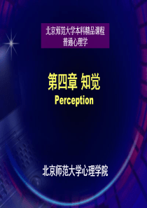 perception知觉(普通心理学)