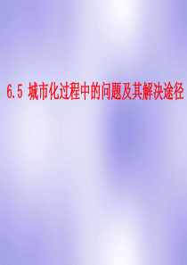 6.5 城市化过程中的问题及其解决途径02