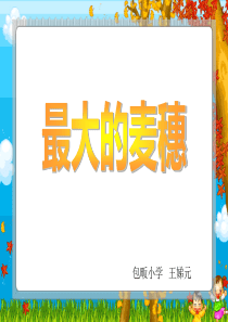 小学六年级下学期语文《最大的麦穗》PPT课件