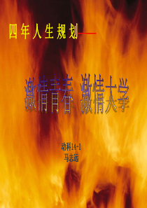 大学四年规划