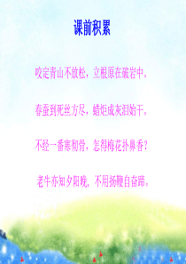 《借物喻人》作文指导