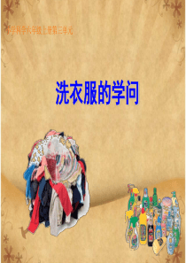 《4.  洗衣服的学问》课件1最新