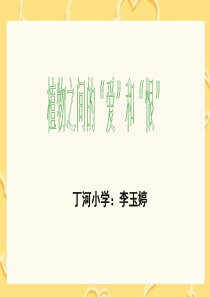 (西师大版)三年级语文下册课件_植物之间的“爱”和“恨”1