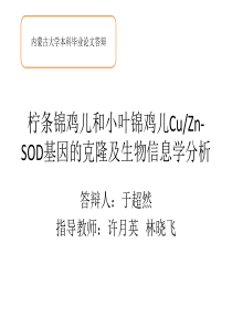 柠条锦鸡儿和小叶锦鸡儿