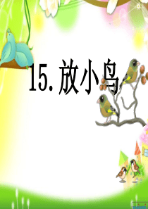 15放小鸟-106ppt