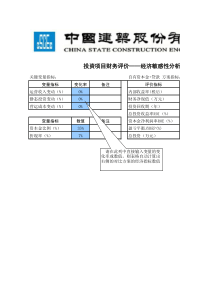 投资项目可研财务评价指标表(自动)