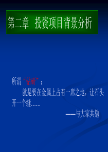 投资项目可行性分析-第二章_项目背景分析