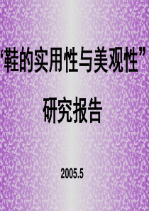 “鞋的实用性与美观性”研究报告