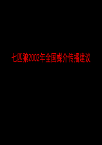 七匹狼2002年媒介传播建议