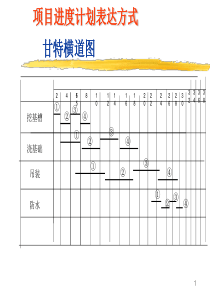 项目进度计划表达