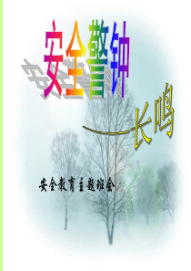 安全教育班会《我们身边的安全》PPT课件