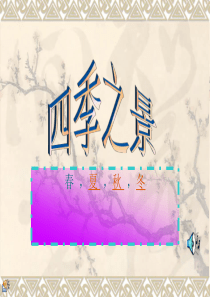 一年四季的景象ppt