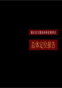 项目总体定位报告